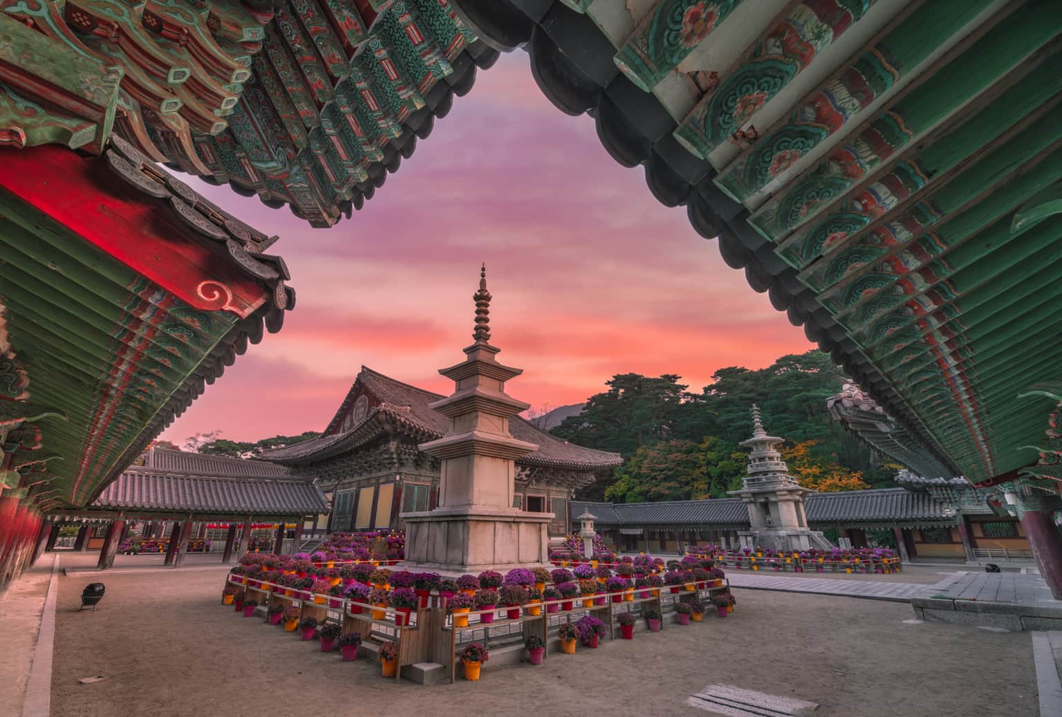 <em>South Korea</em> Tour Packages From Chandigarh