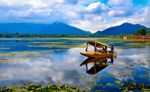 Traditional Wooden Boats in Srinagar