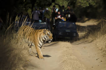 Nainital and Jim Corbett Tour from Delhi