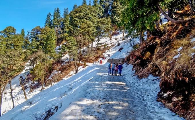 Hatu Peak Trek