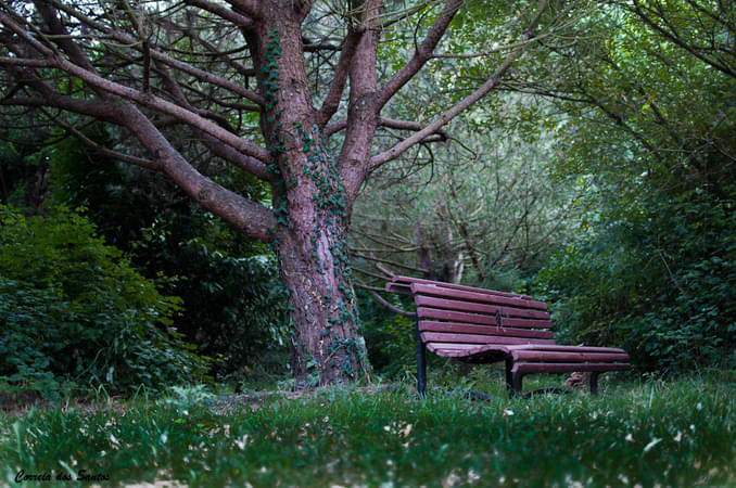 Parque da Cidade do Porto
