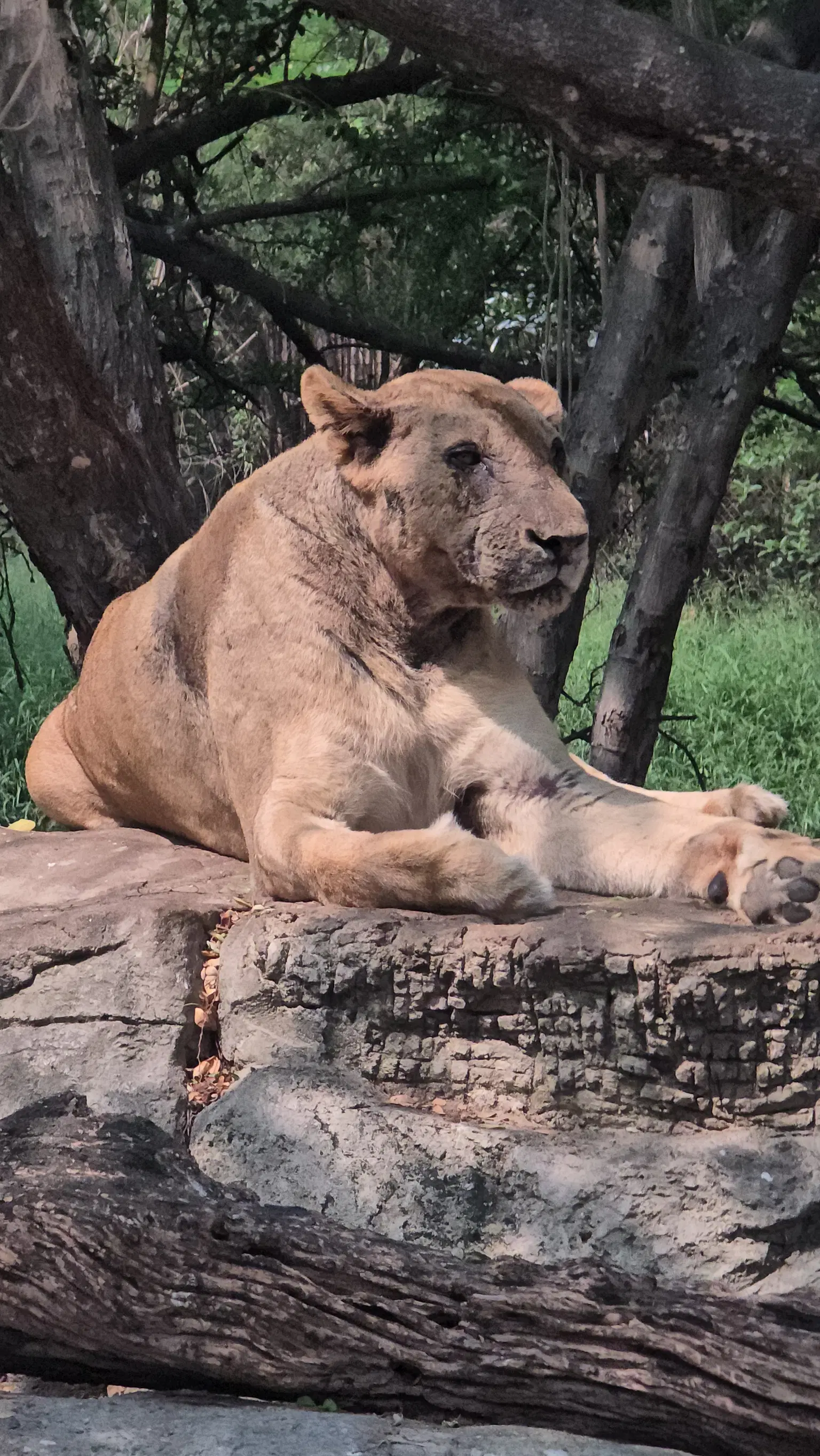 Photo from Ganesh S's trip