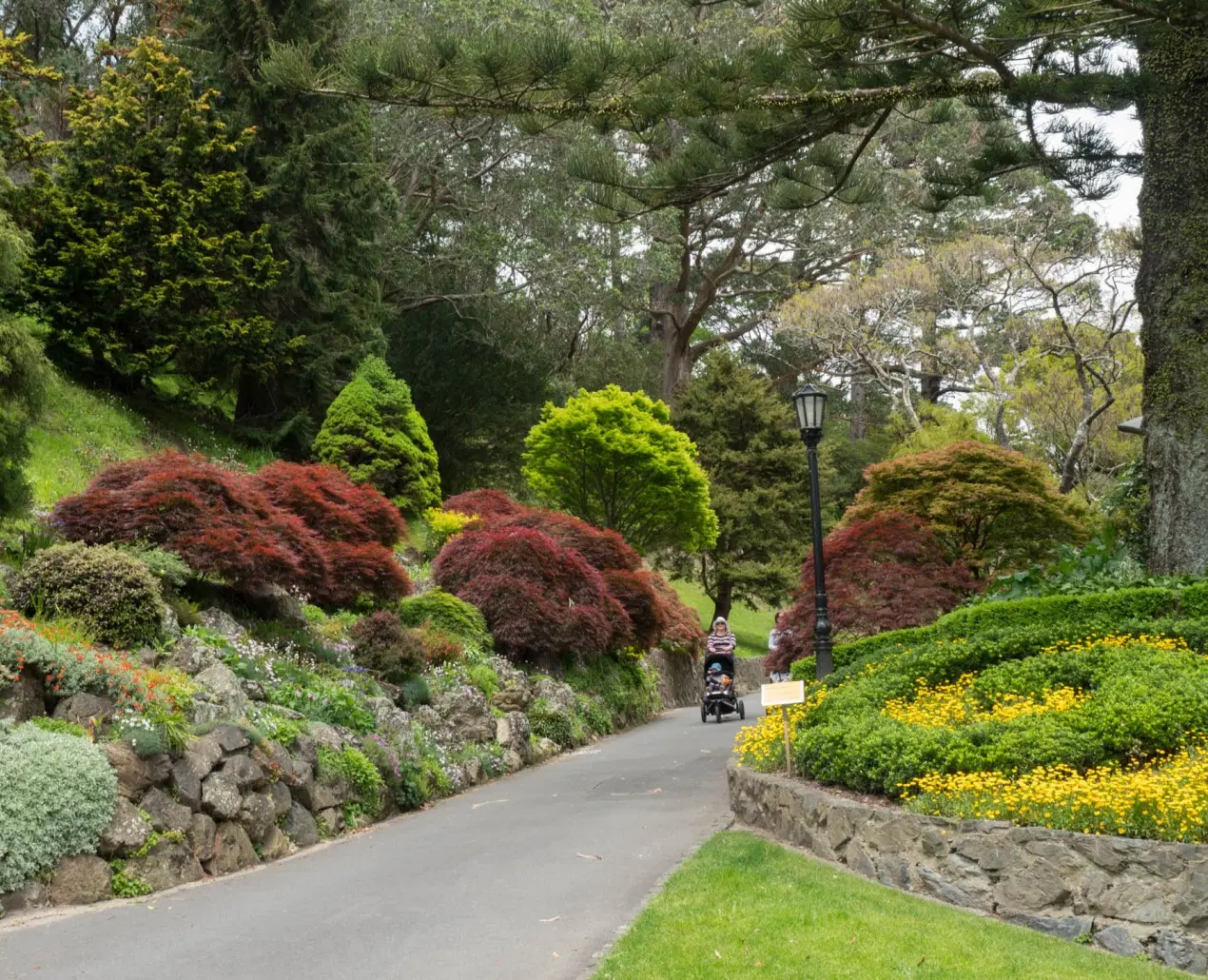 Wellington Botanic Garden