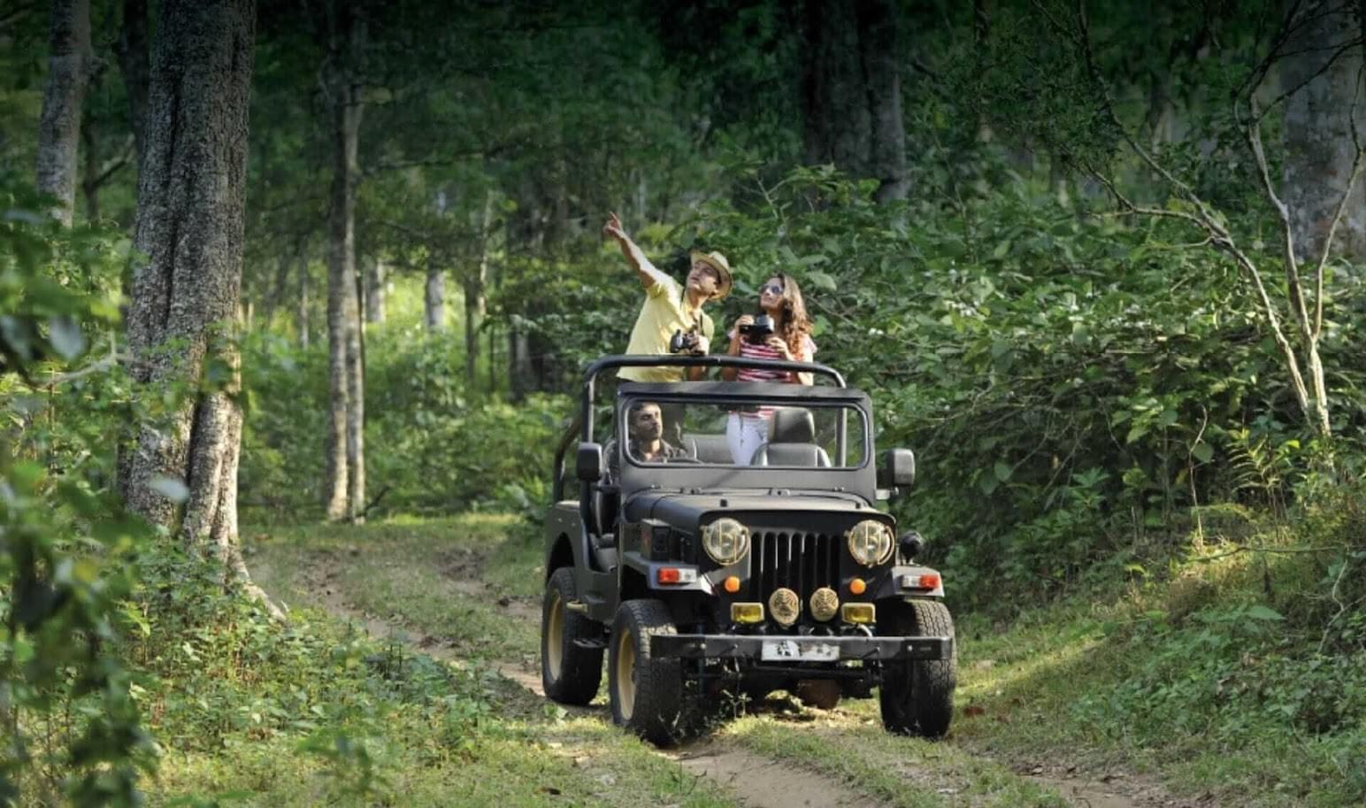 Mandalpatti Jeep Safari, Coorg