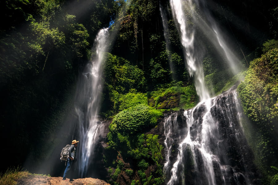 Bali Swing and Waterfall Full Day Tour Image