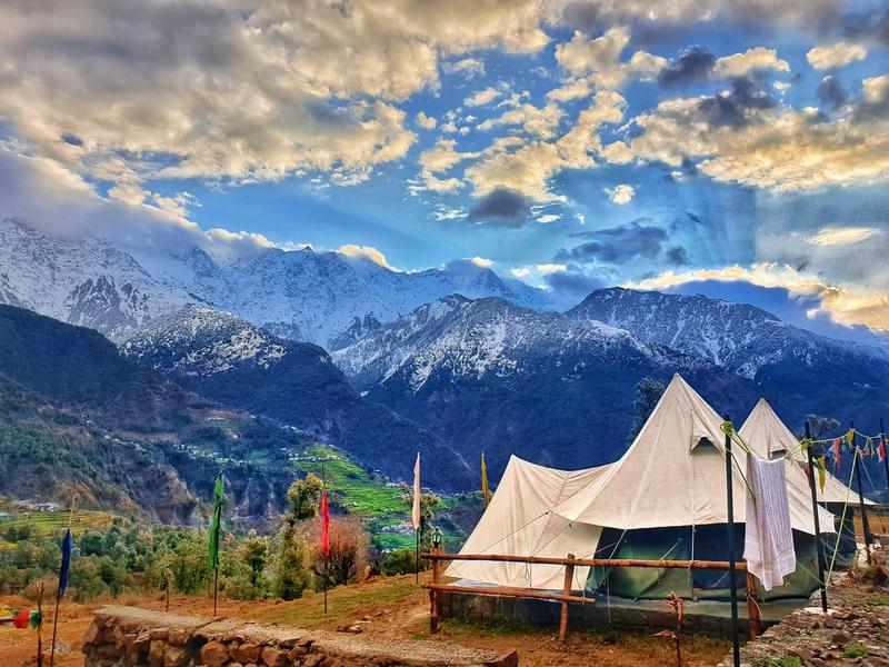 Rustic Cabin Stay, Dharamshala Image