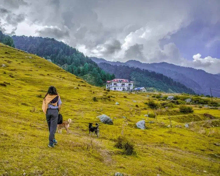 Hatu Peak Trek