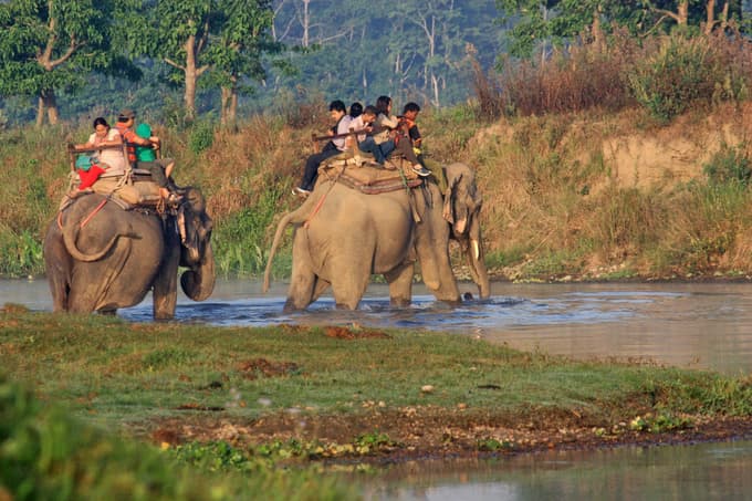 Jungle Safari at Chitwan National Park in Nepal