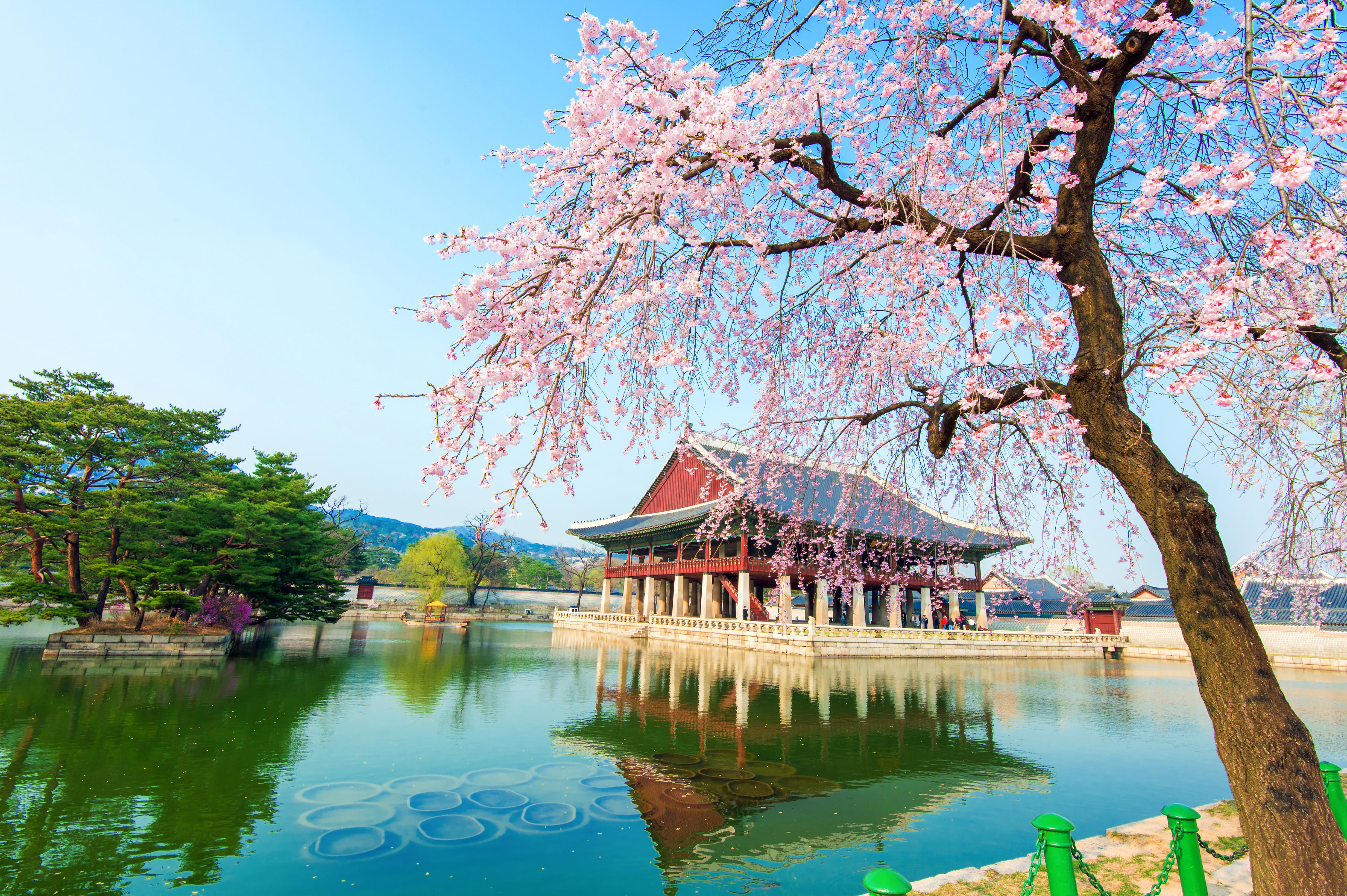 Seoul Packages from Vadodara | Get Upto 50% Off
