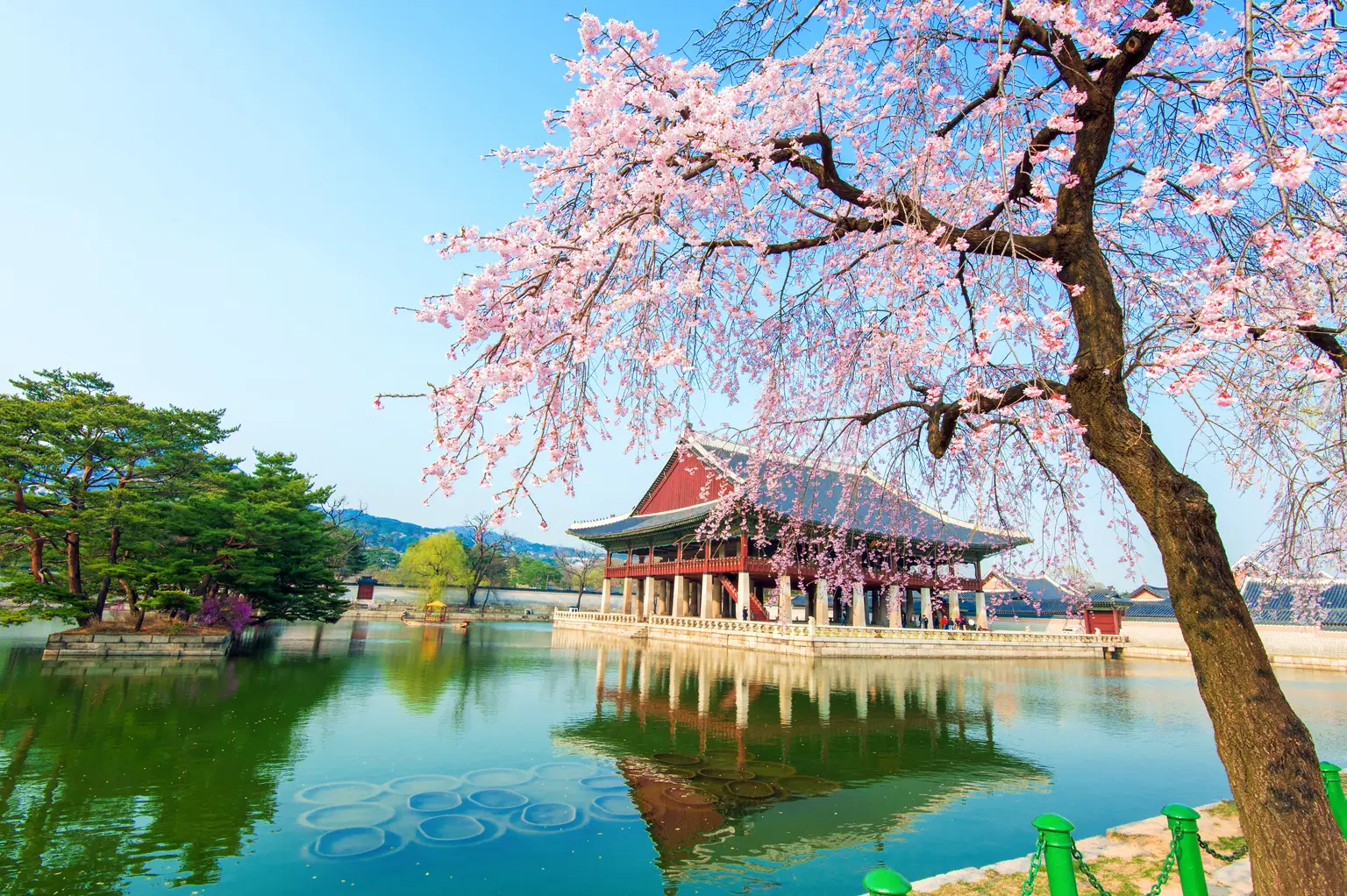 <em>Seoul</em> Tour Packages From Mysore 