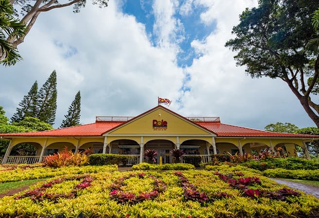 Dole Plantation