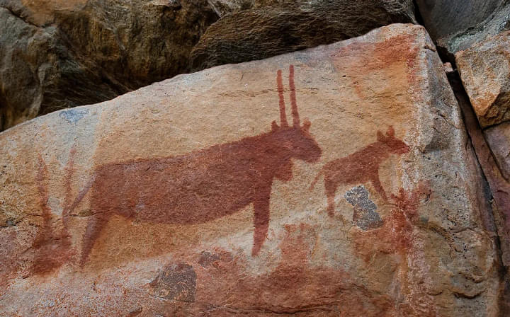 Discover Ancient Rock Art at Tsodilo Hills