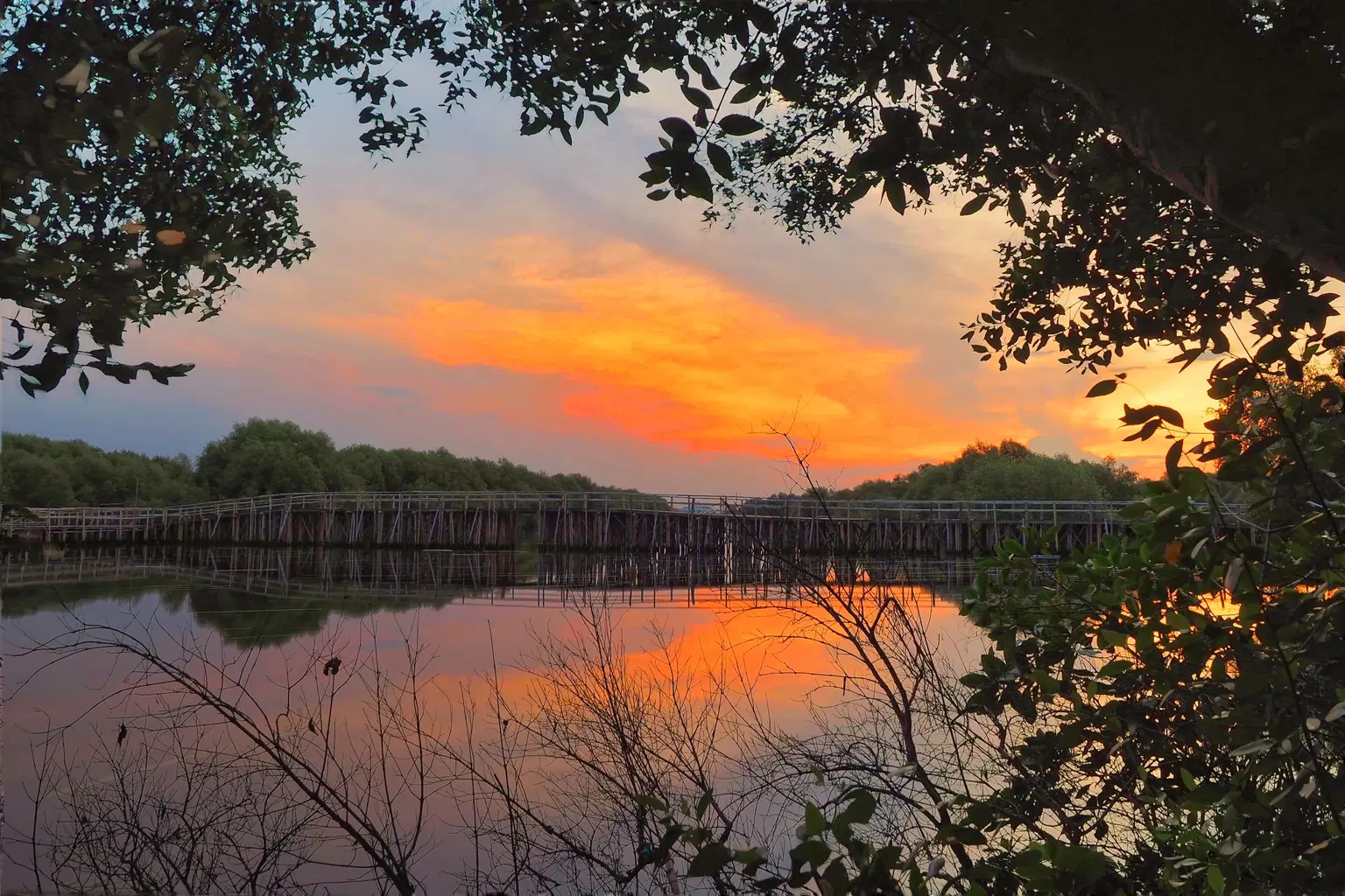 Witness Sunset