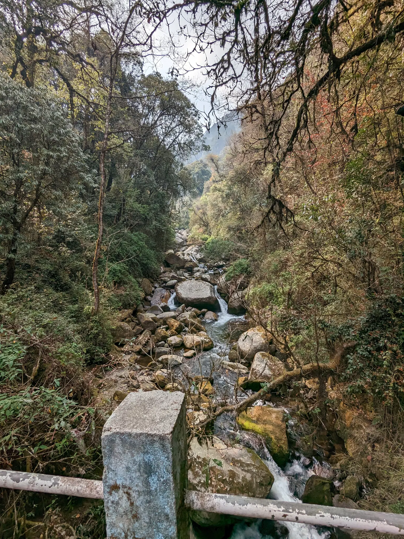 Photo from Soumen  Mondal's trip