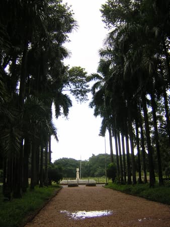 Acharya Jagadish Chandra Bose Indian Botanic Garden