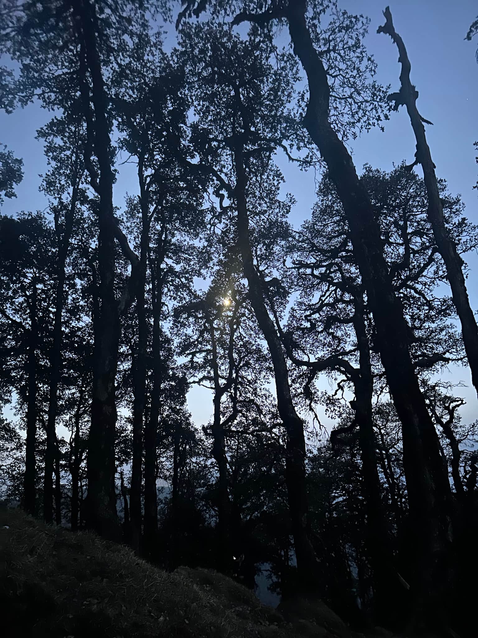 Photo from Parth  Somani's trip
