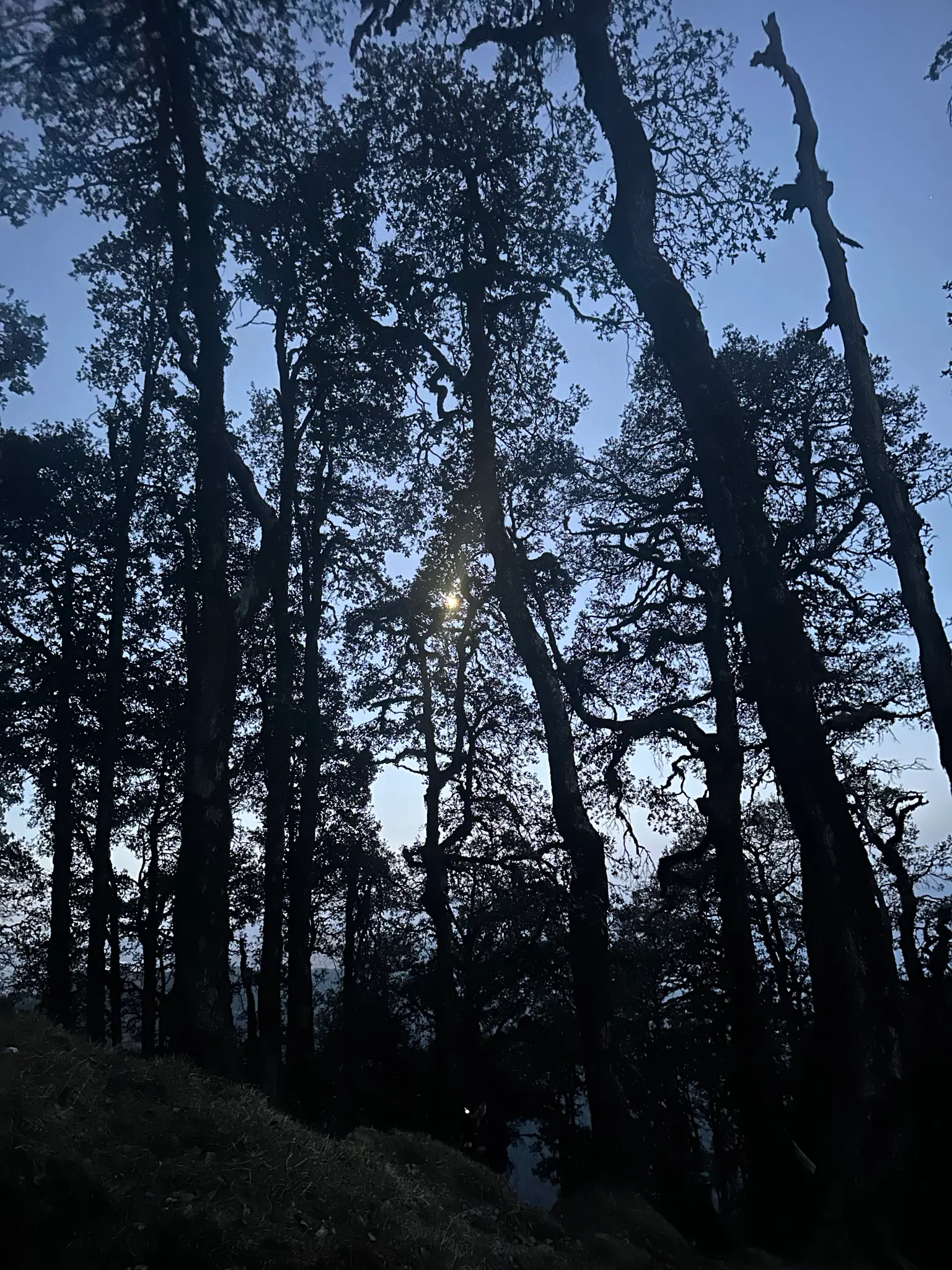 Photo from Parth  Somani's trip
