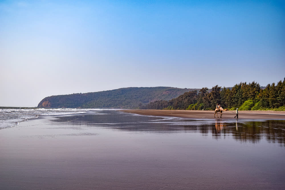 Harihareshwar Beach