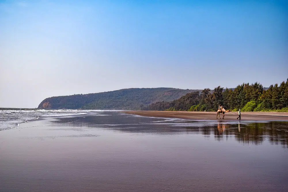 Harihareshwar Beach