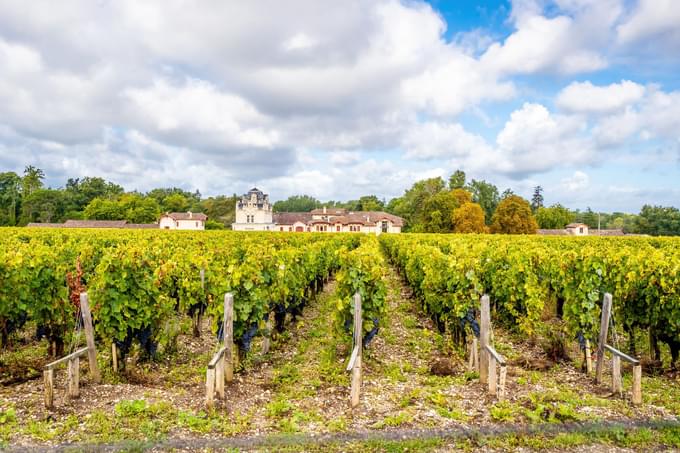 Bordeaux Vineyards, Paris