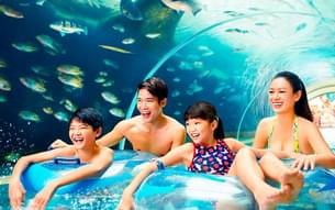 Experience the thrilling water adventures in Adventure Cove Waterpark