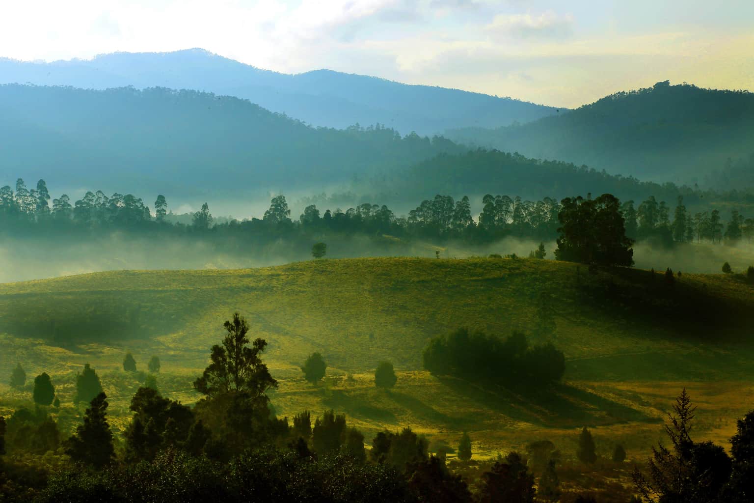 <em>Kodaikanal</em> Tour Packages From Ahmedabad 