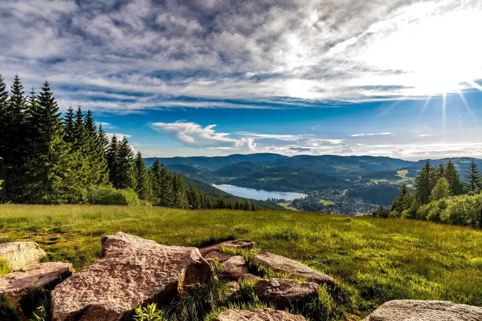 Black Forest Rhine Falls Day Trip From Zurich