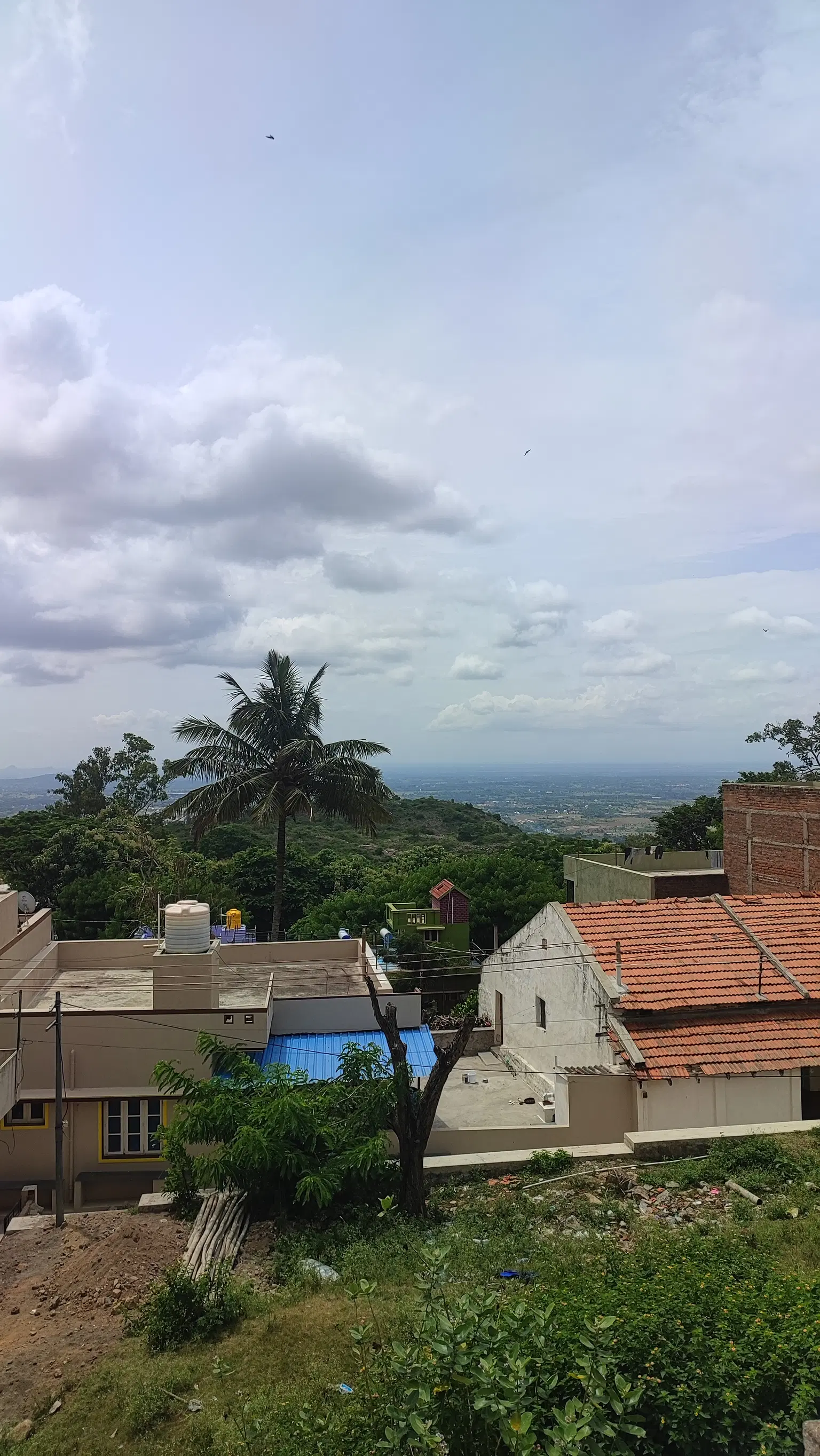 Photo from Devashish Bose's trip
