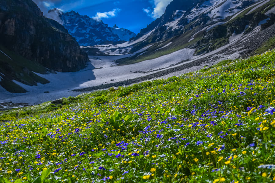 Hampta Valley Snow Trek From Delhi Image