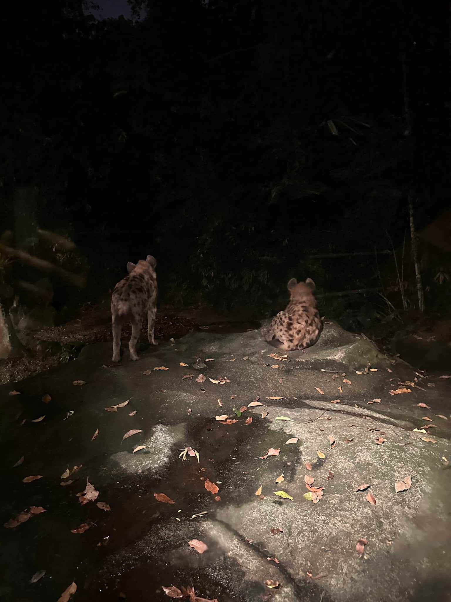 Photo from Sally Bao's trip
