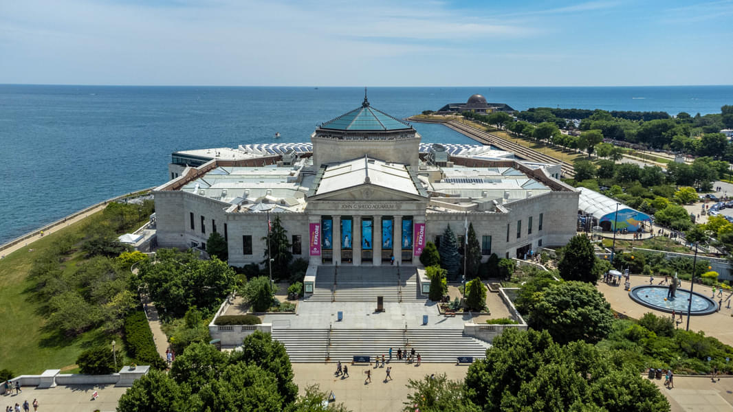 Welcome to the renowned Shedd Aquarium in Chicago