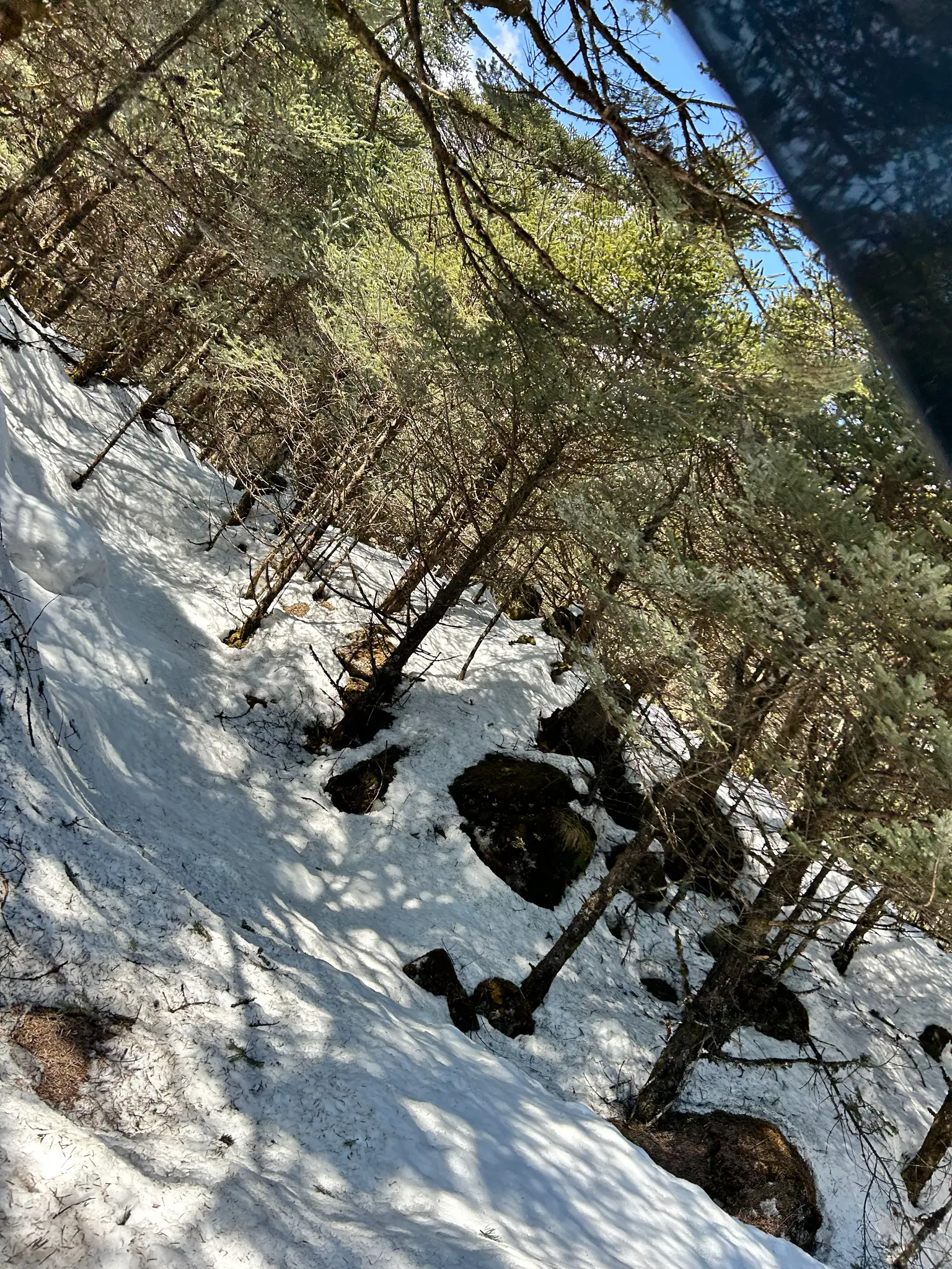Photo from Hema Peddakotla's trip