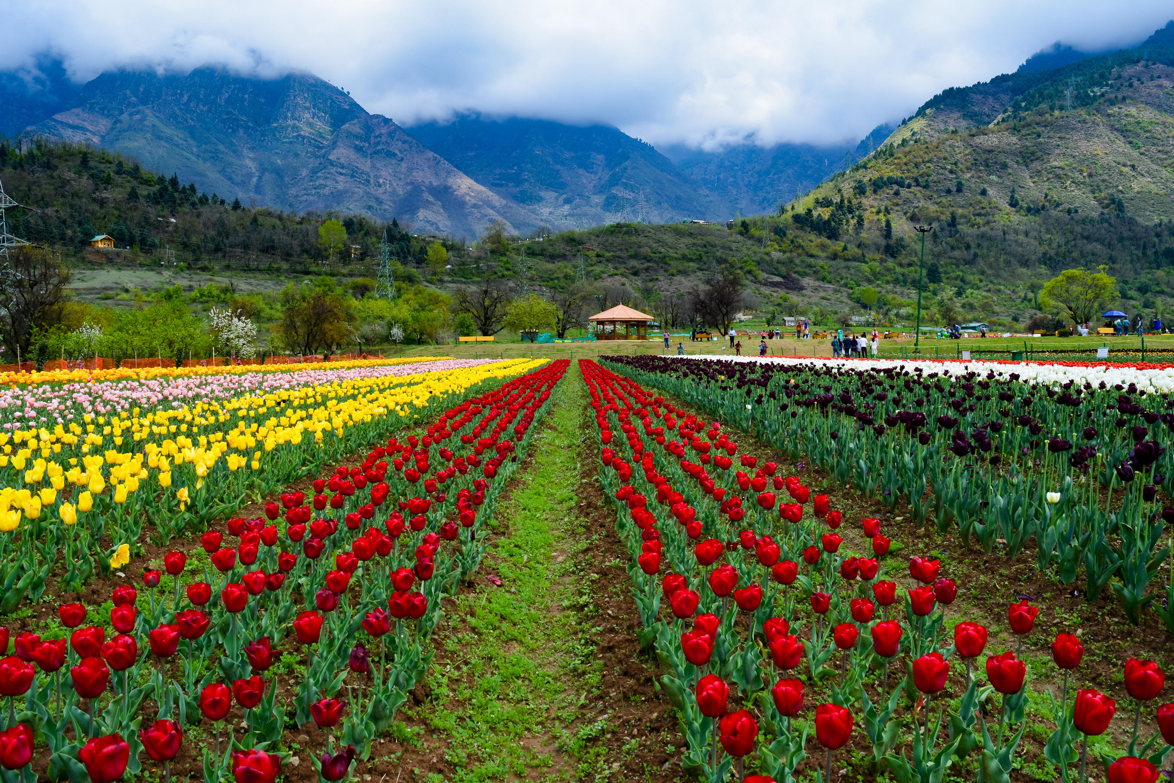 Jammu and Kashmir Packages from Raipur | Get Upto 50% Off