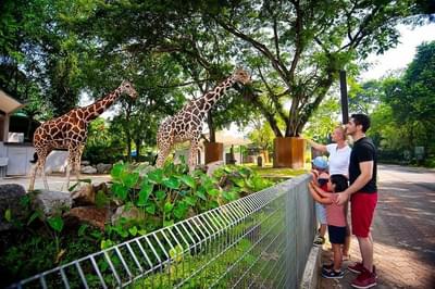 Zoo Negara Tickets, Malaysia