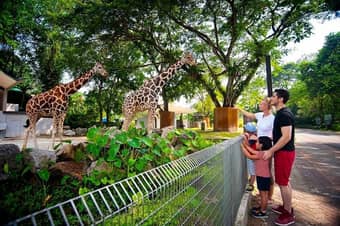 Explore the beauty of wildlife at Negara Zoo