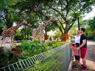 Zoo Negara Tickets, Malaysia