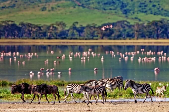 Ngorongoro National Park, Tanzania