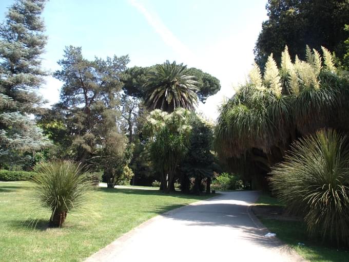 Caserta Palace Gardens