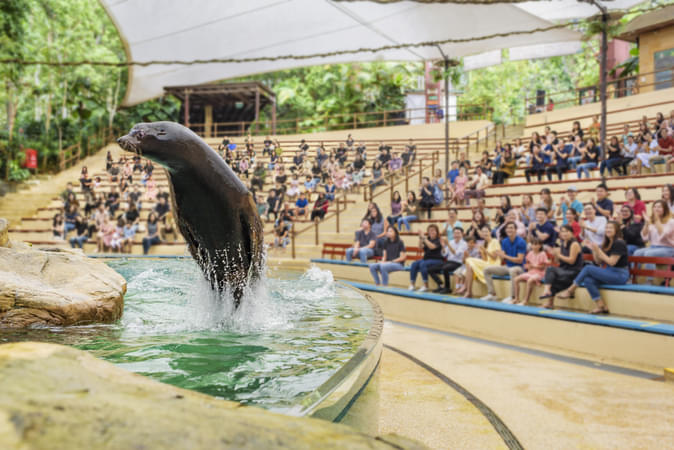 Splash Safari at the Singapore Zoo