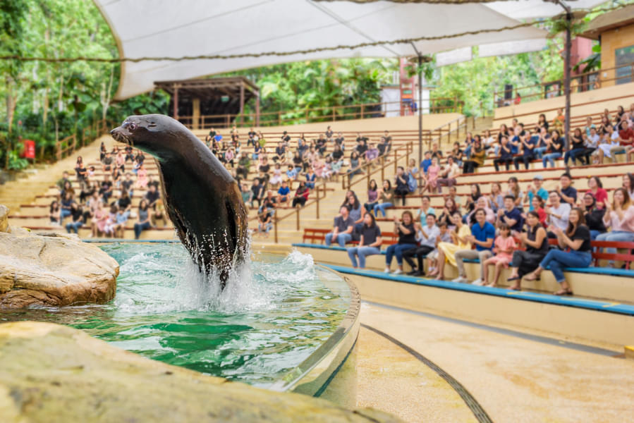 Singapore Zoo Tickets Image