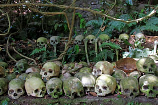 Jc8gj644a3k5332b00ef4u1riin2 1470984808 bali trunyan village