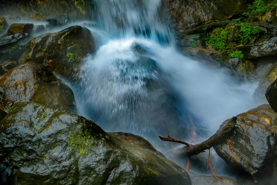 North Sikkim Sightseeing Tour Image