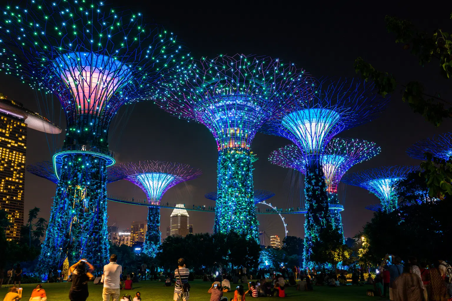 Gardens By the Bay Light Show (Garden Rhapsody)