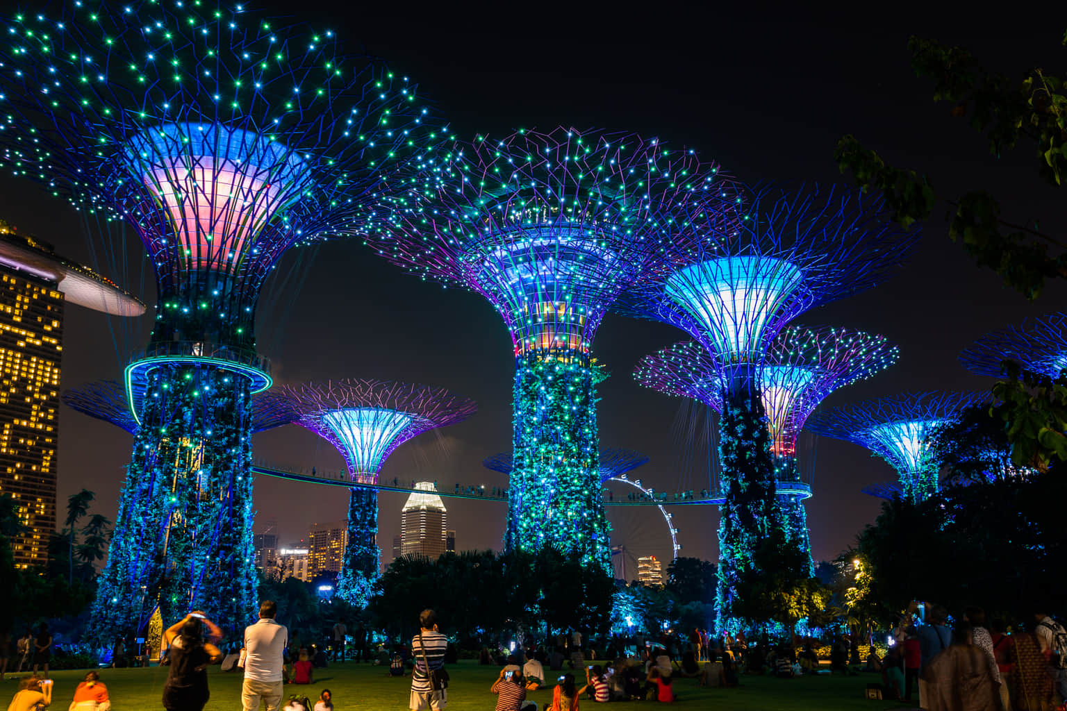 Gardens By the Bay Light Show (Garden Rhapsody), <em>Singapore</em>