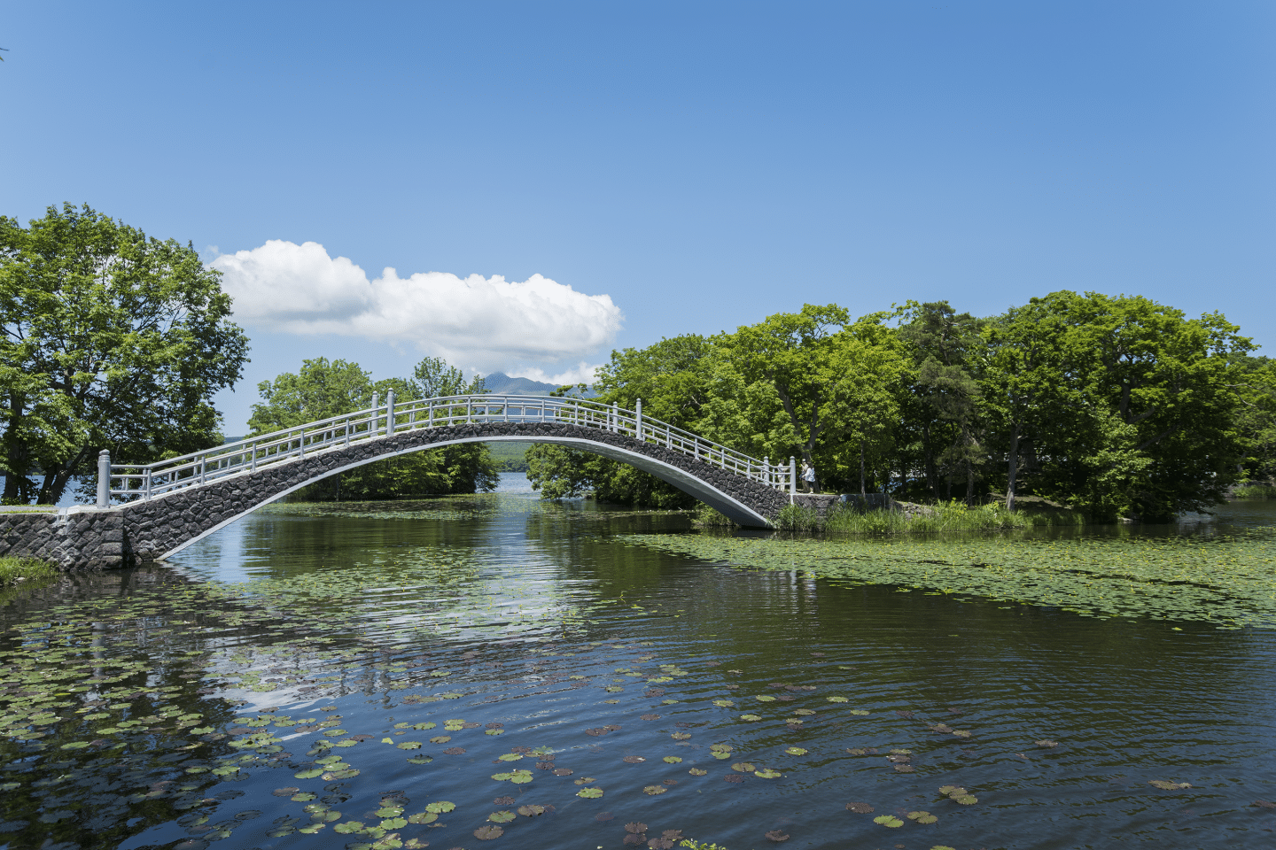 Kogetsu Bridge Overview