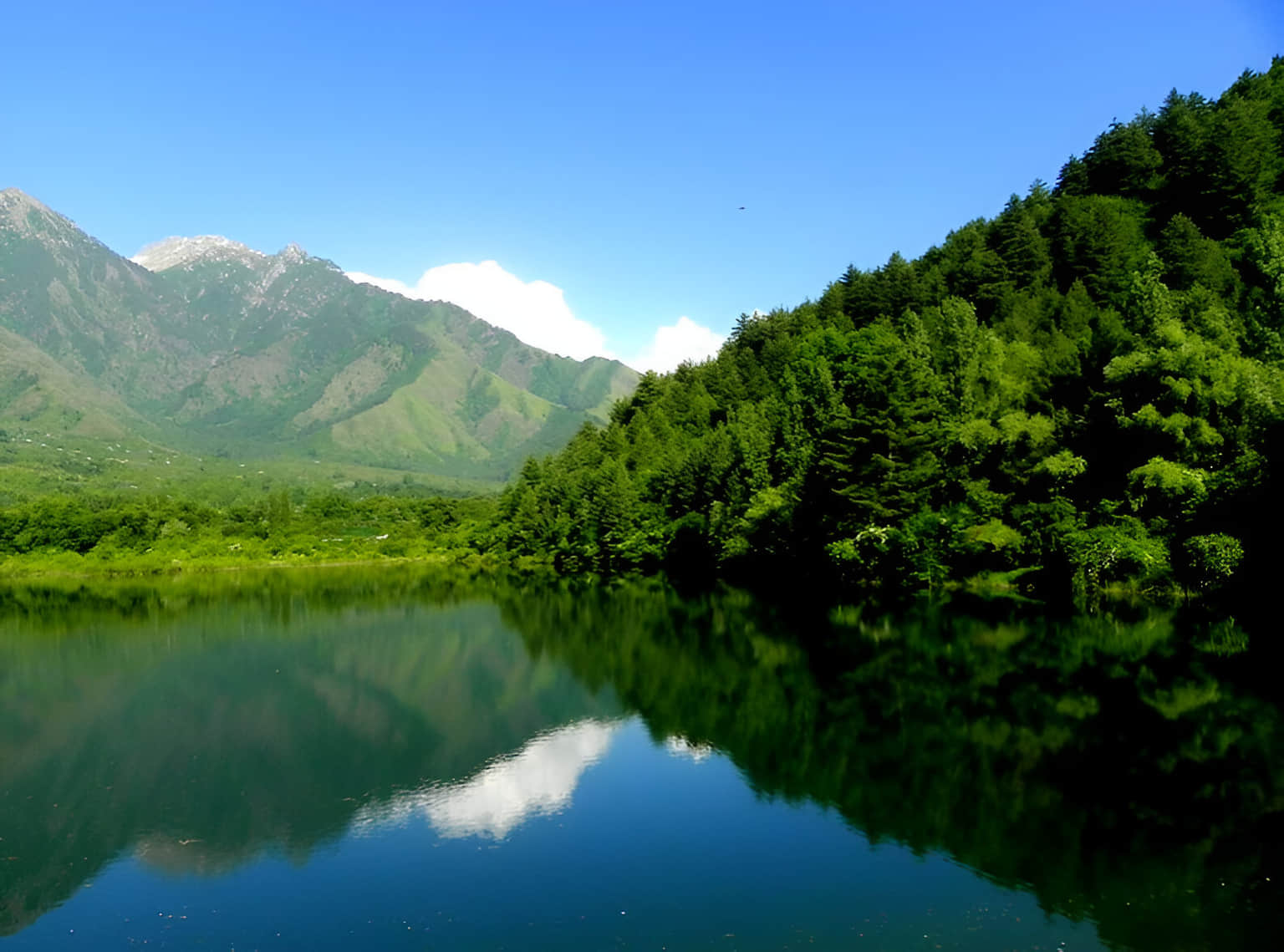 Dachigam National Park, <em>Srinagar</em>