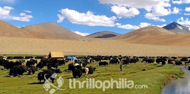 Rumtse To Kiber Trek Image