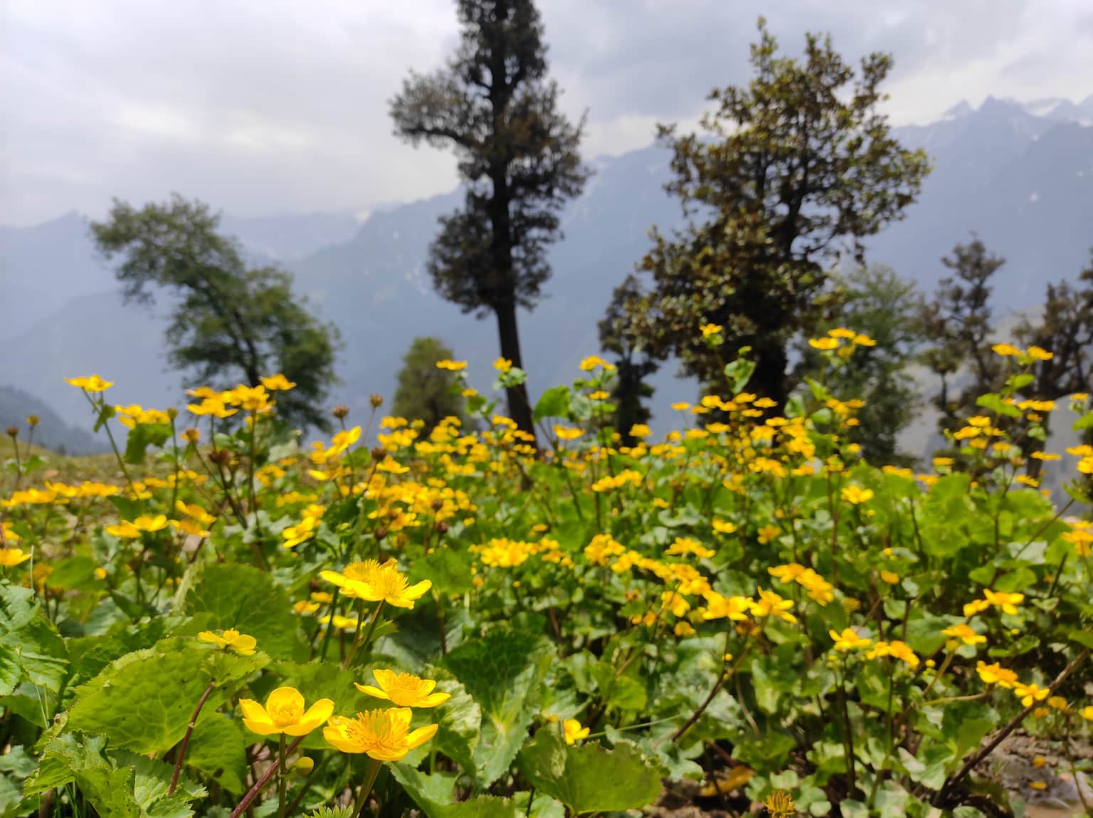 Photo from Ashray  Sinha's trip