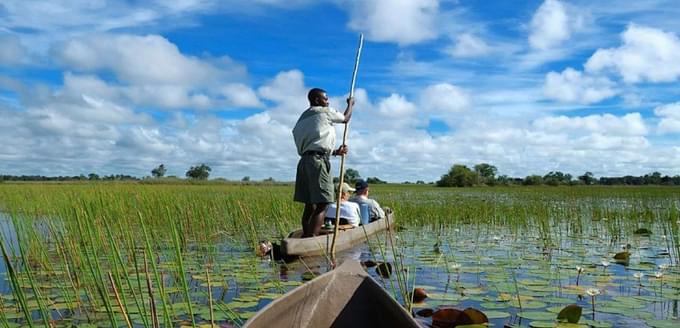 okavango6.jpg