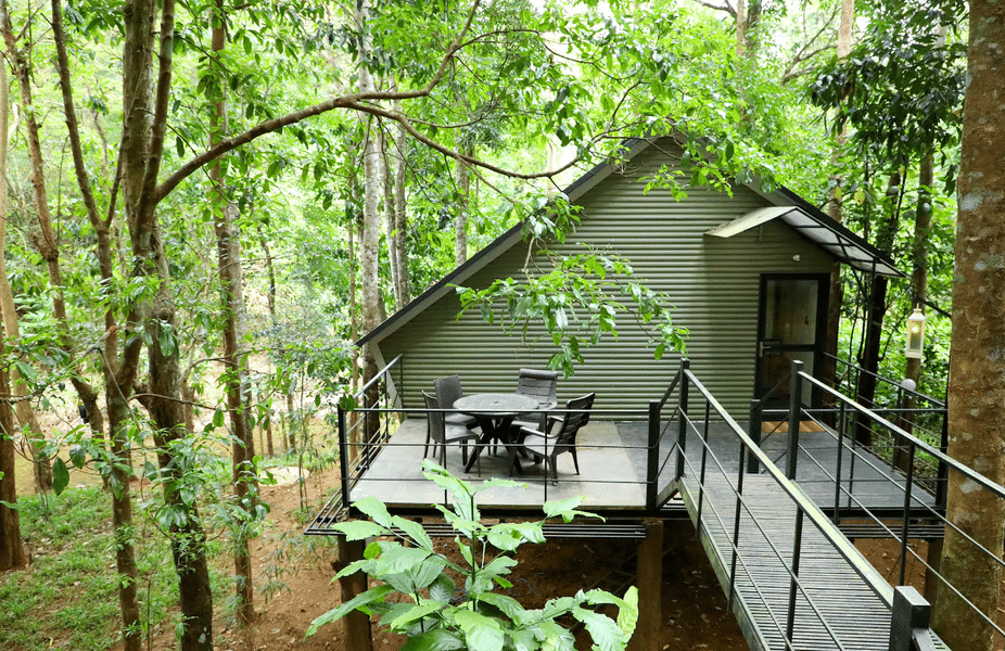 A Jungle Escape In The Woods Of Wayanad  Image